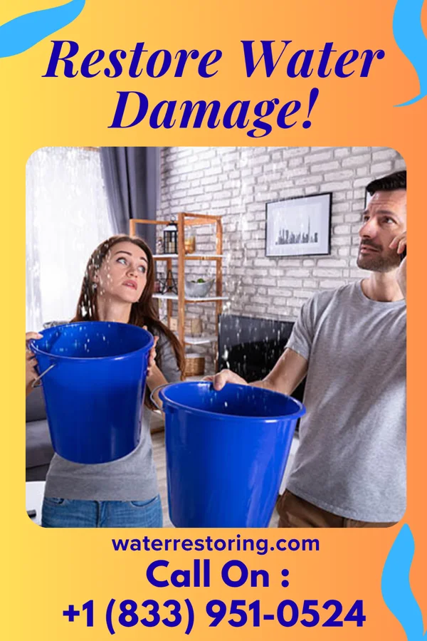 water restoration Total Sewage Cleanup Group Shenandoah Heights