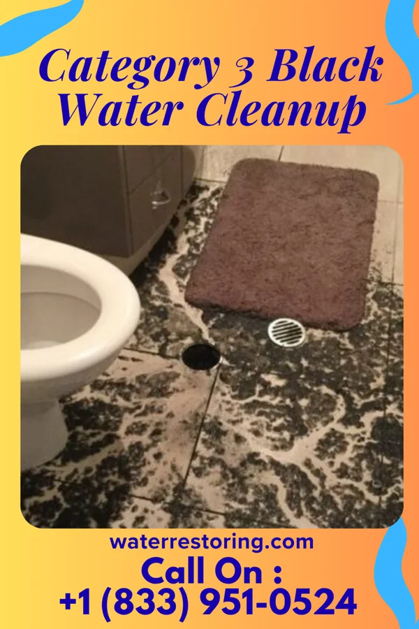 Category 3 Black Water Cleanup in Shenandoah Heights, PA
