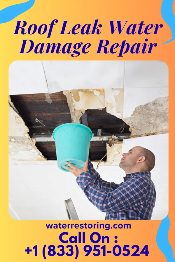 Roof Leak Water Damage Repair in Shenandoah Heights, PA