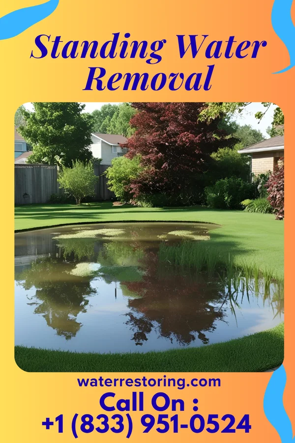 Standing Water Removal in Shenandoah Heights, PA